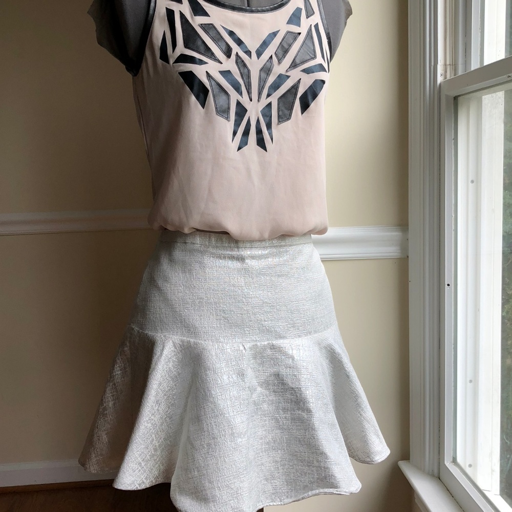 Express mini flare skirt silver